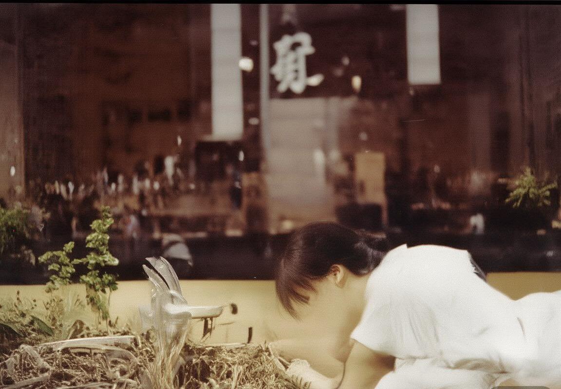 范戴克传奇之路：荷兰足球天才的成长与荣耀